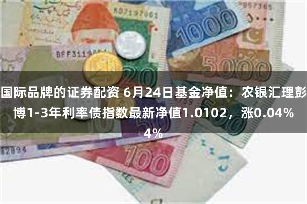 国际品牌的证券配资 6月24日基金净值：农银汇理彭博1-3年利率债指数最新净值1.0102，涨0.04%