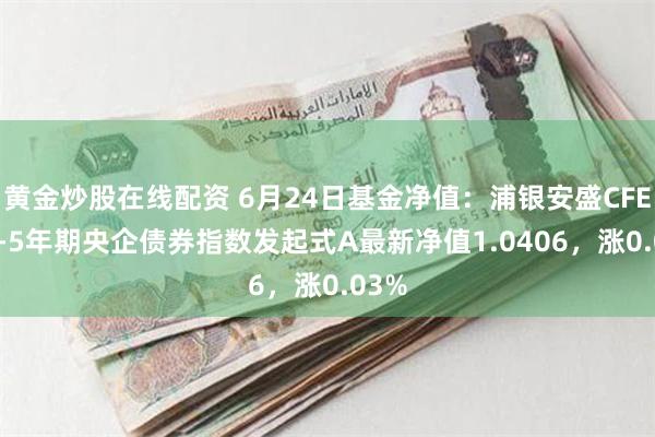 黄金炒股在线配资 6月24日基金净值：浦银安盛CFETS0-5年期央企债券指数发起式A最新净值1.0406，涨0.03%