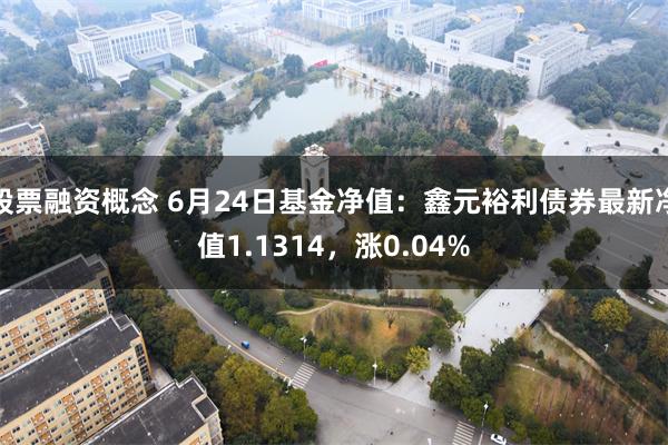 股票融资概念 6月24日基金净值：鑫元裕利债券最新净值1.1314，涨0.04%