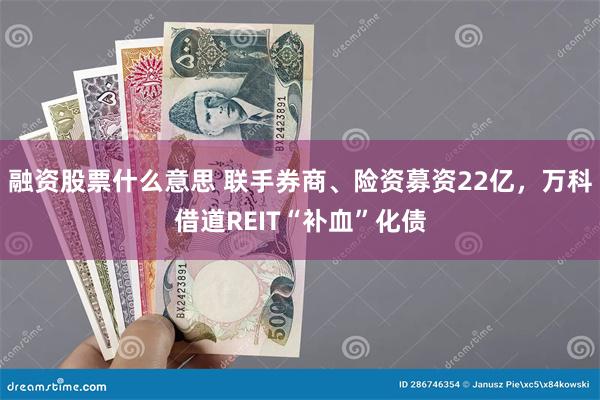 融资股票什么意思 联手券商、险资募资22亿，万科借道REIT“补血”化债