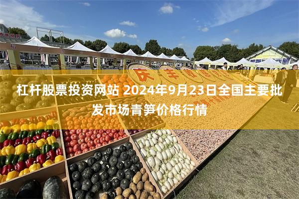 杠杆股票投资网站 2024年9月23日全国主要批发市场青笋价格行情