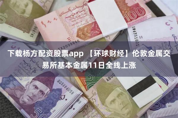 下载杨方配资股票app 【环球财经】伦敦金属交易所基本金属11日全线上涨